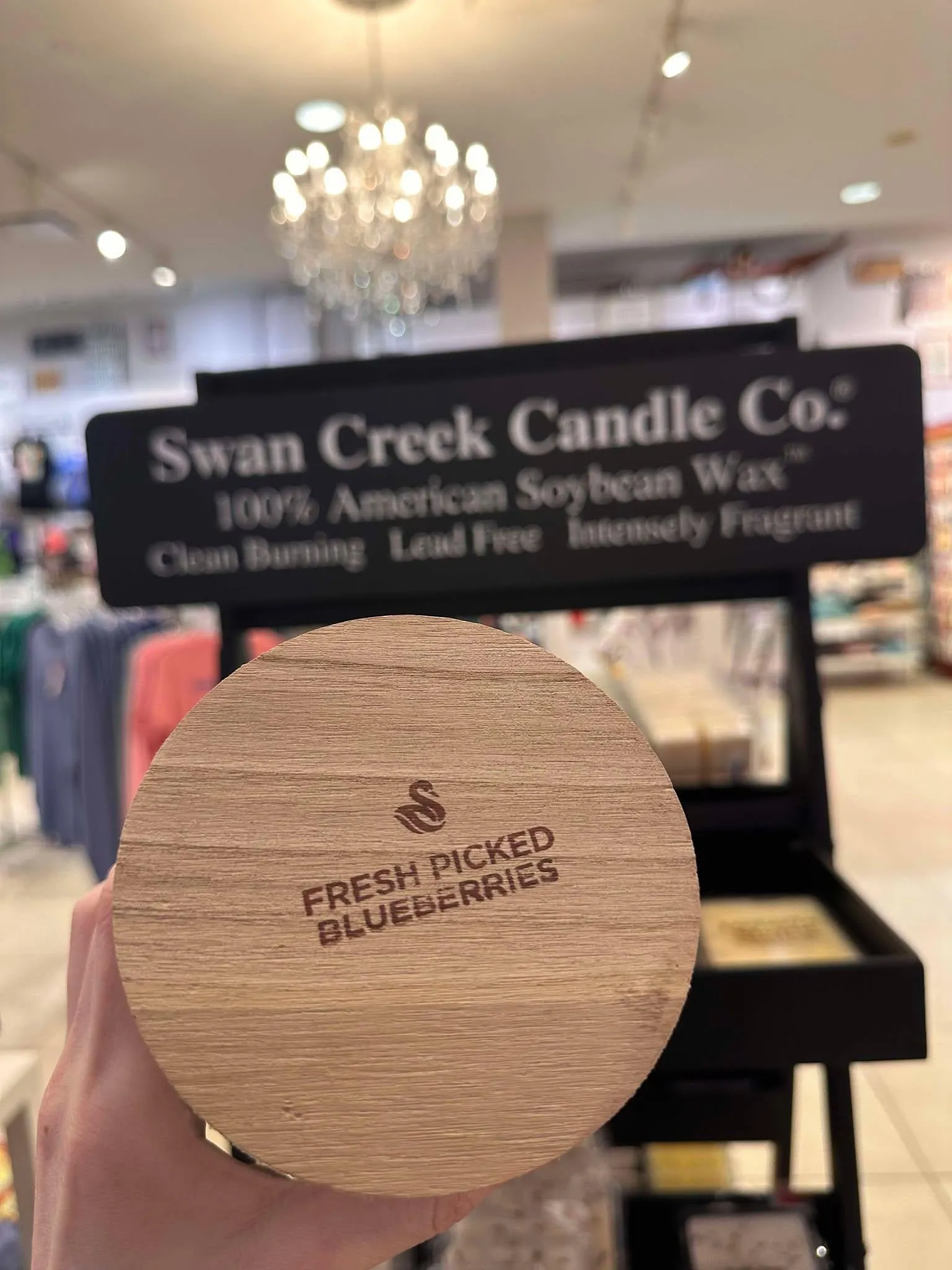 Swan Creek FRESH PICKED BLUEBERRIES Timeless Jar Candle
